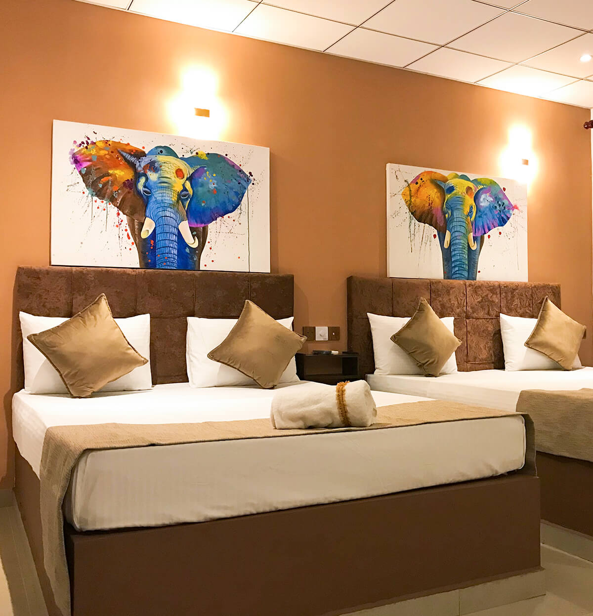 the mammoth udawalawe board family room 2