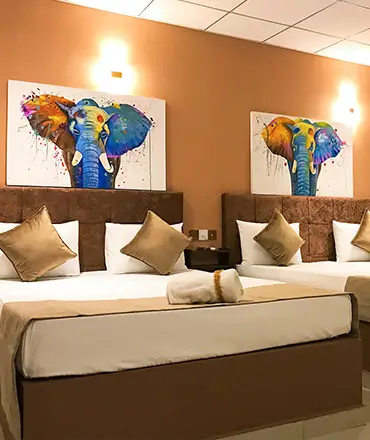 the mammoth udawalawe board family room 3