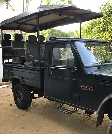 the mammoth udawalawe parcking 001