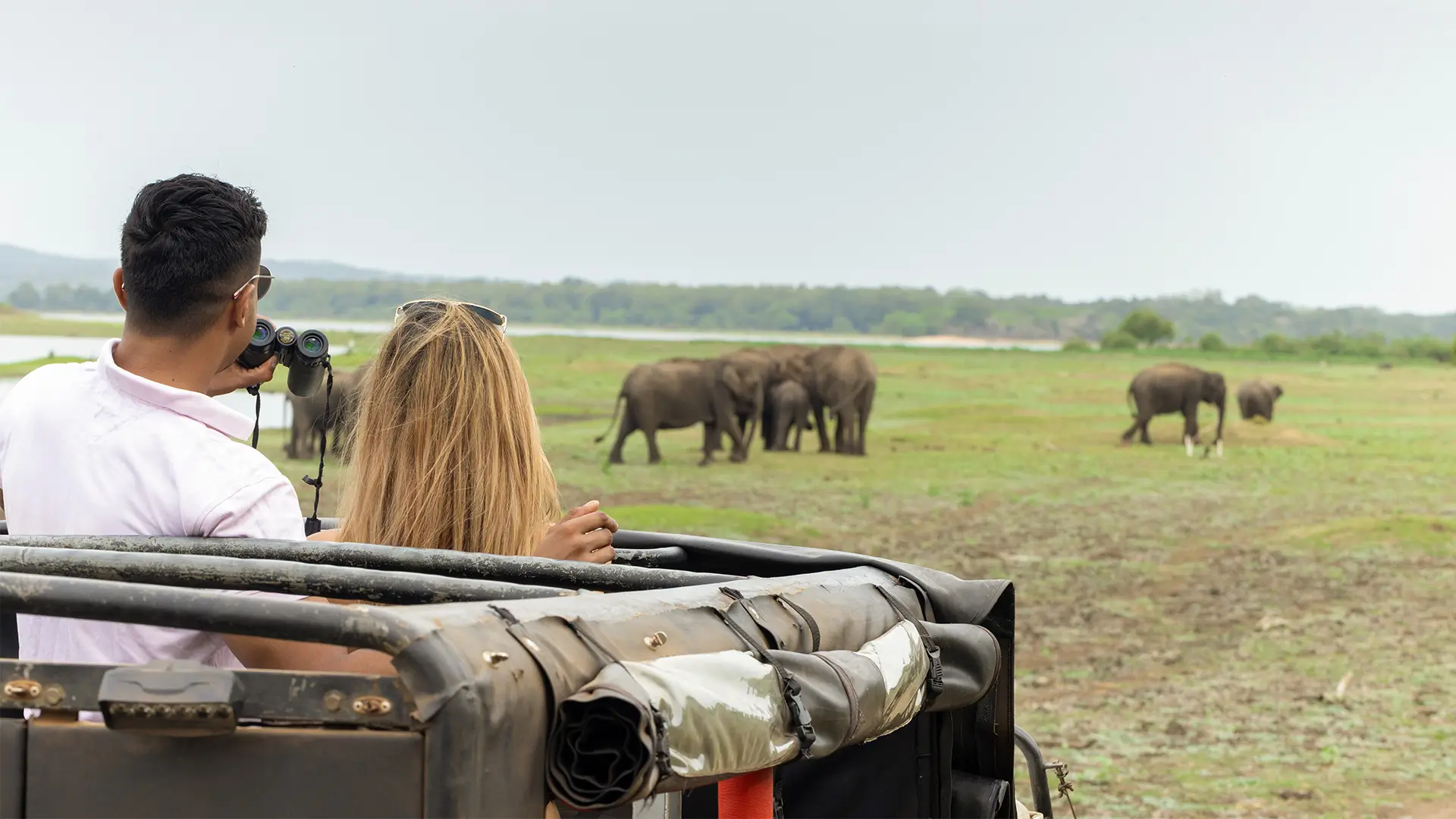 the mammoth udawalawe sfarri